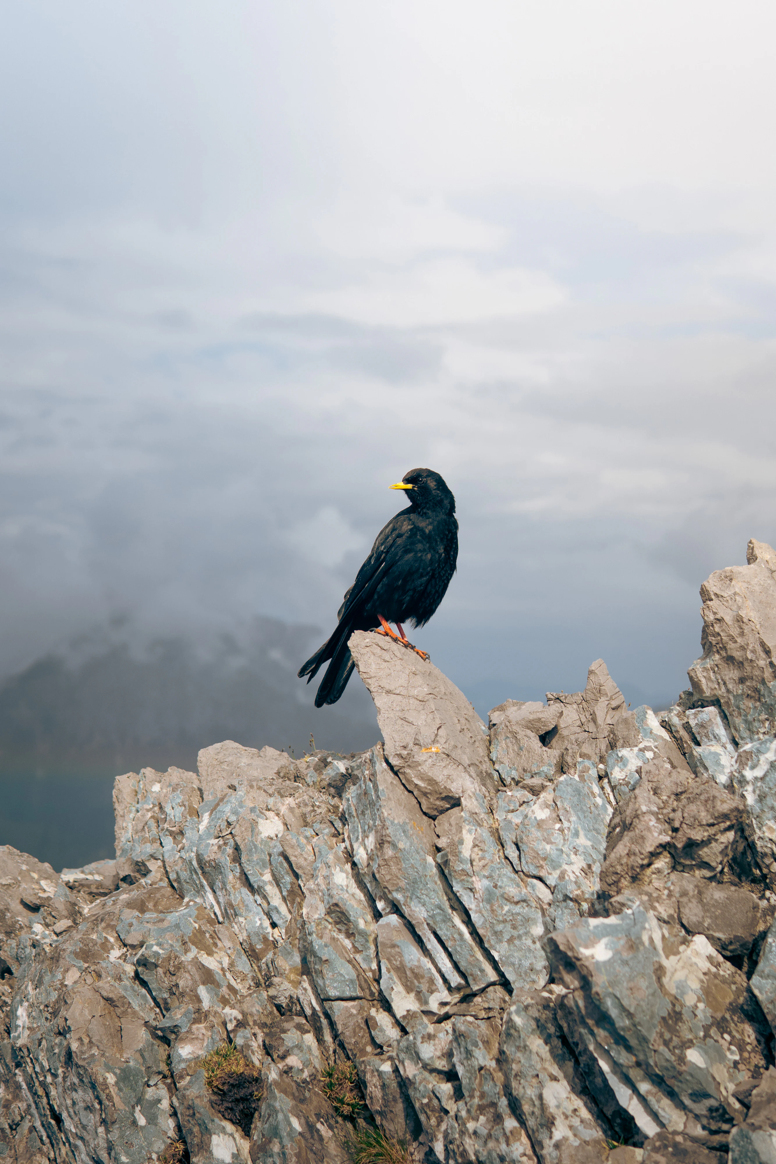 Berchtesgaden National Park 2023, photo 01