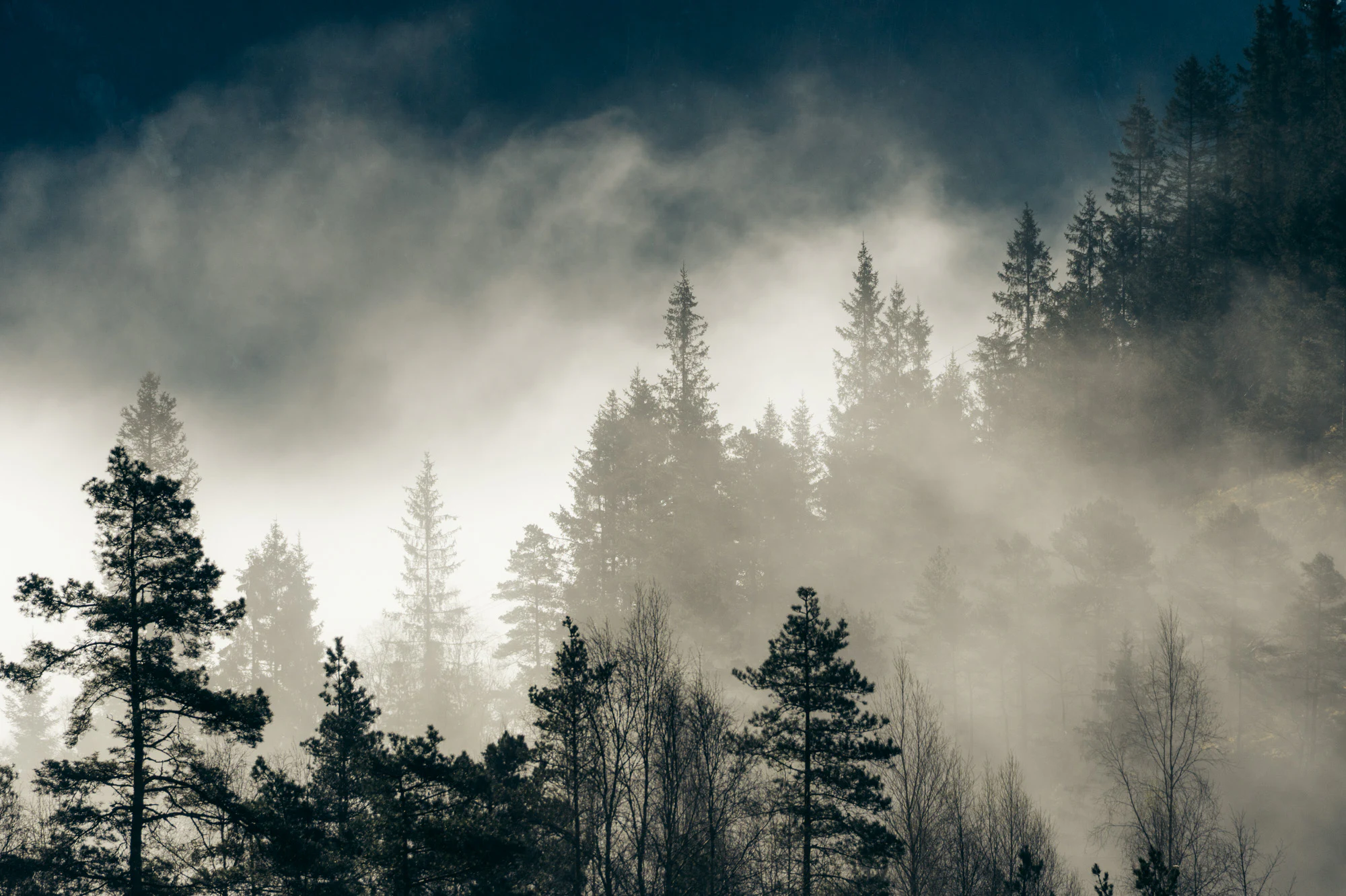 Norway 2025, photo 01