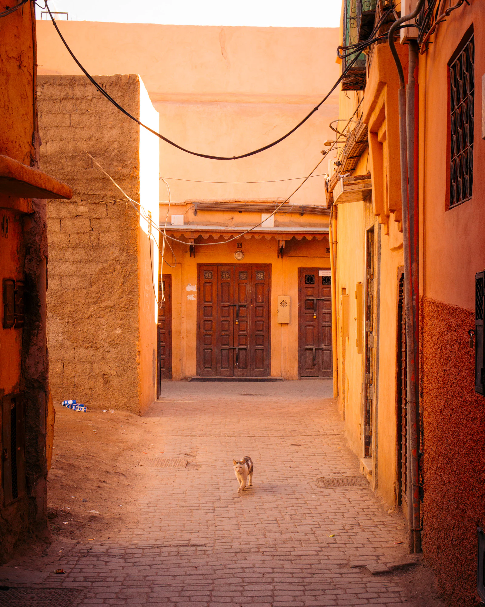 Morocco 2023, photo 02