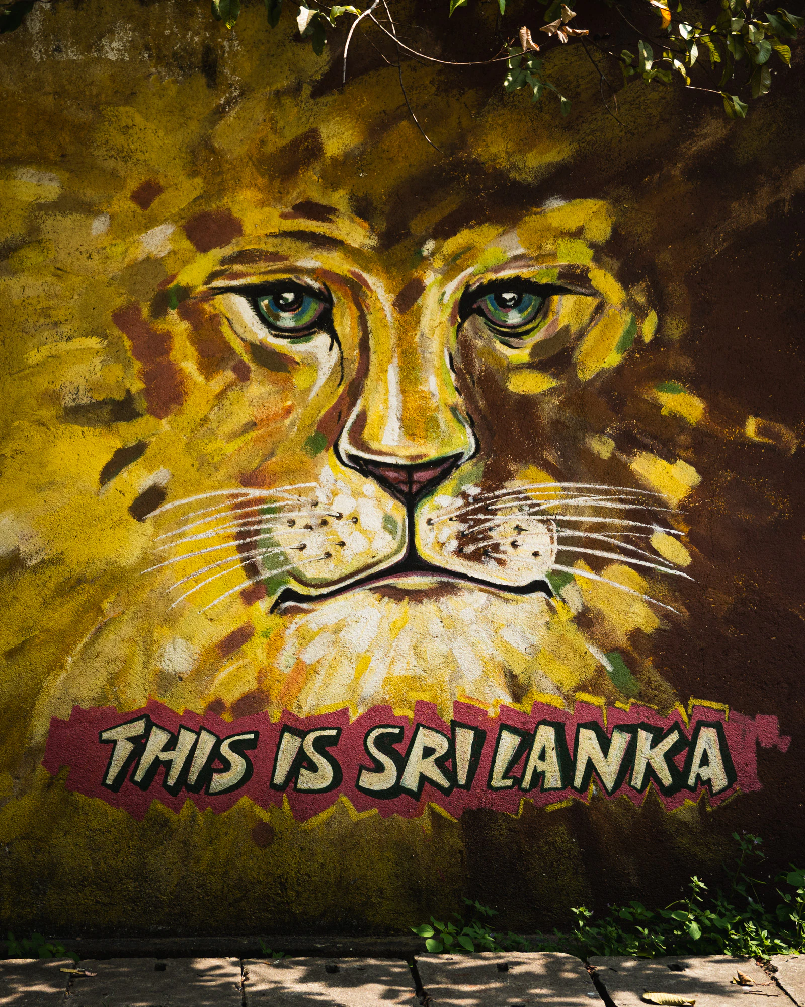 Sri Lanka 2025, photo 02