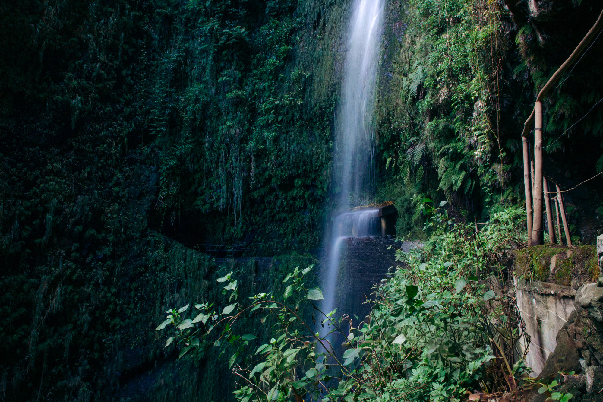 Madeira 2023, photo 04