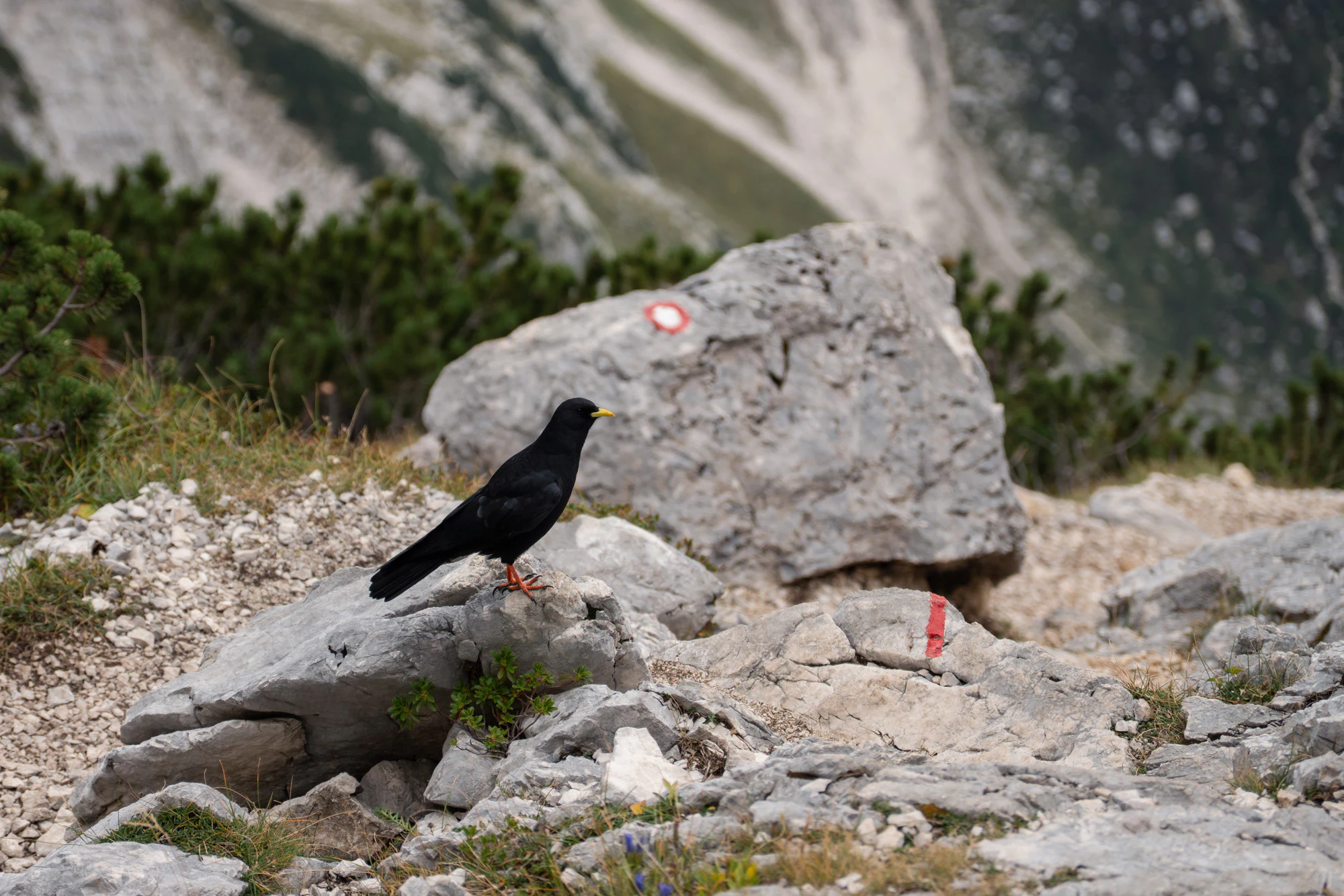 Triglav 2023, photo 06