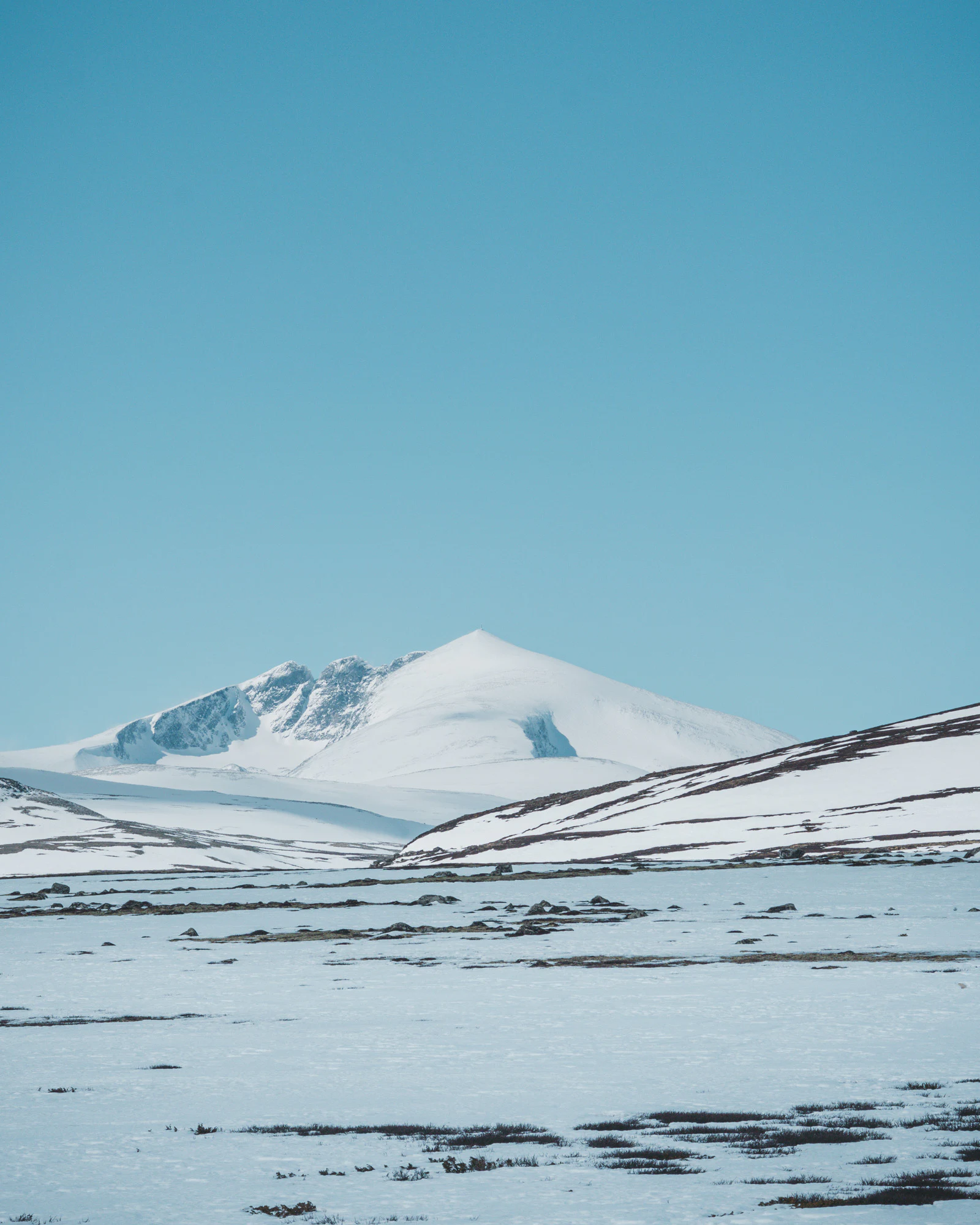 Dovrefjell 2025, photo 06