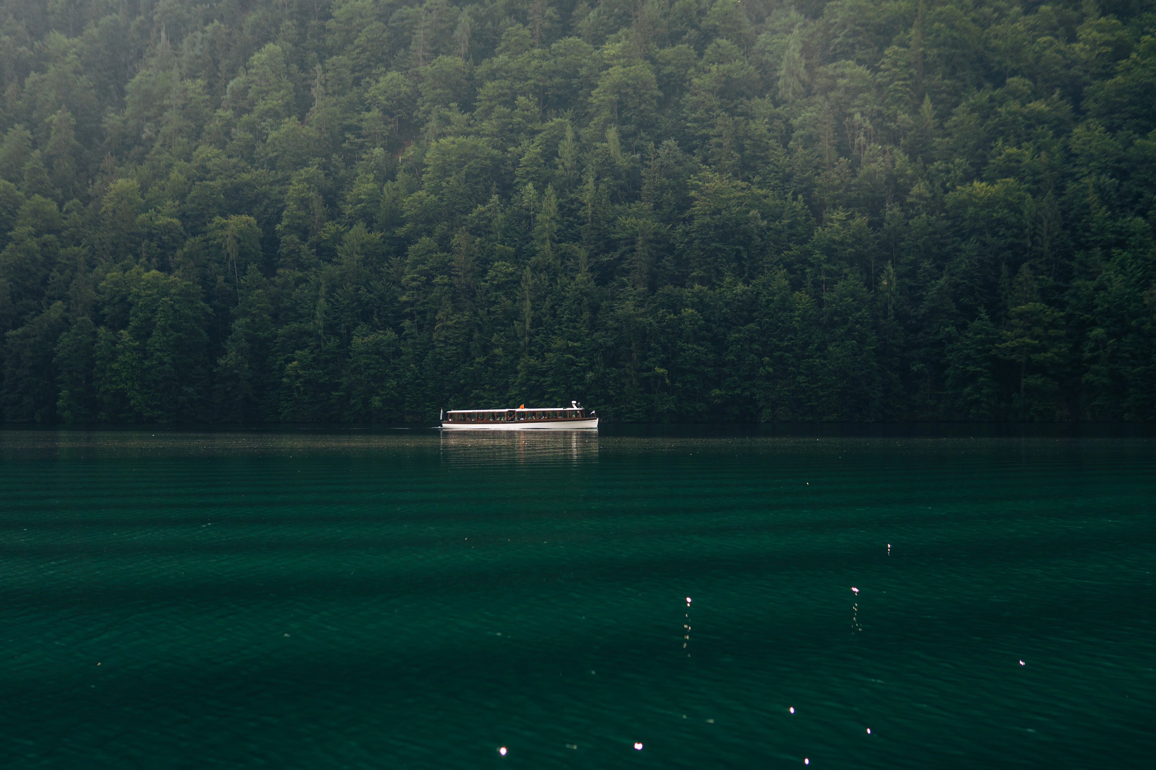 Berchtesgaden National Park 2023, photo 07