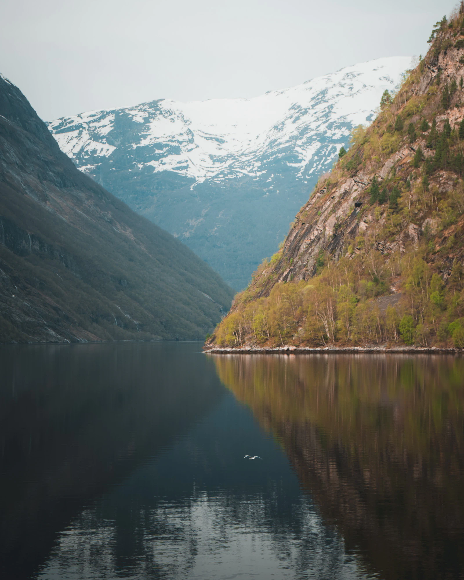 Norway 2025, photo 07