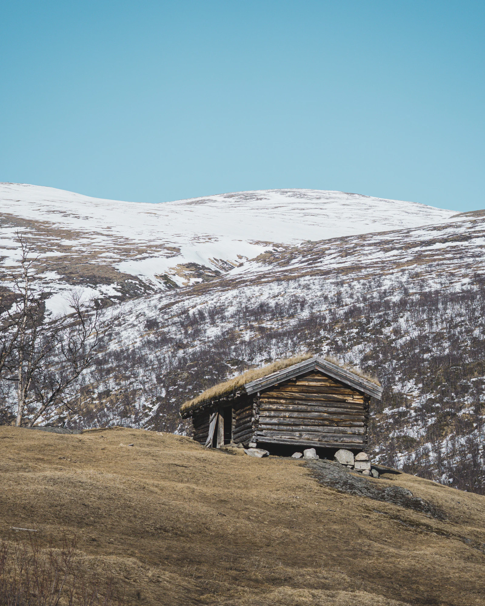Dovrefjell 2025, photo 09