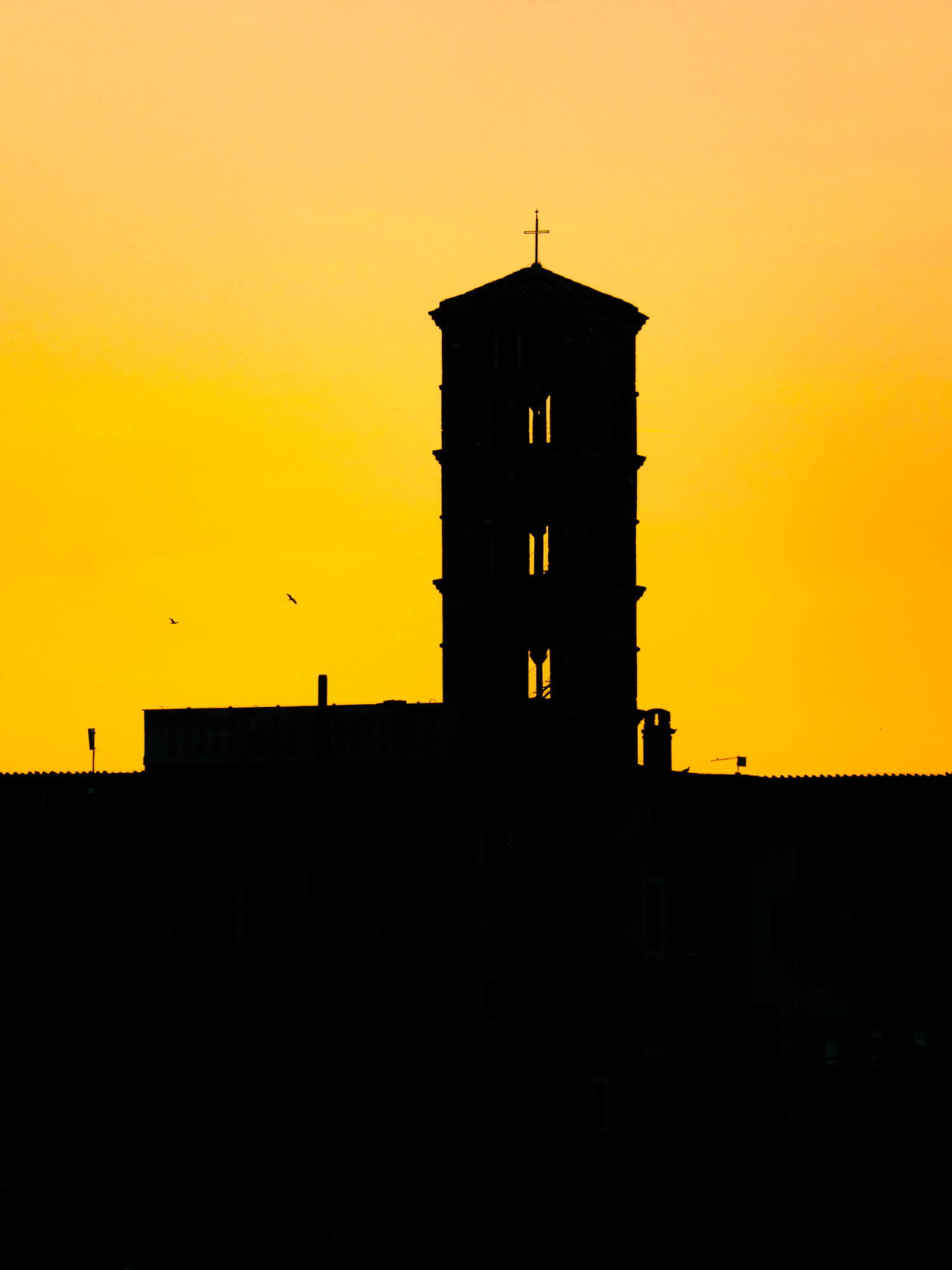 Rome 2024, photo 09