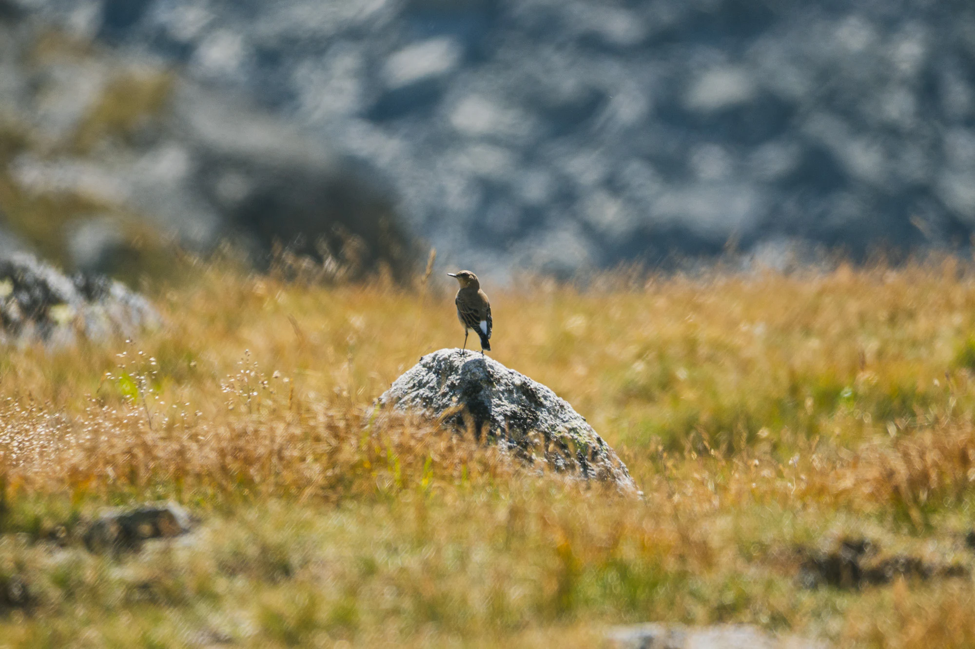 High Tatras 2024, photo 11