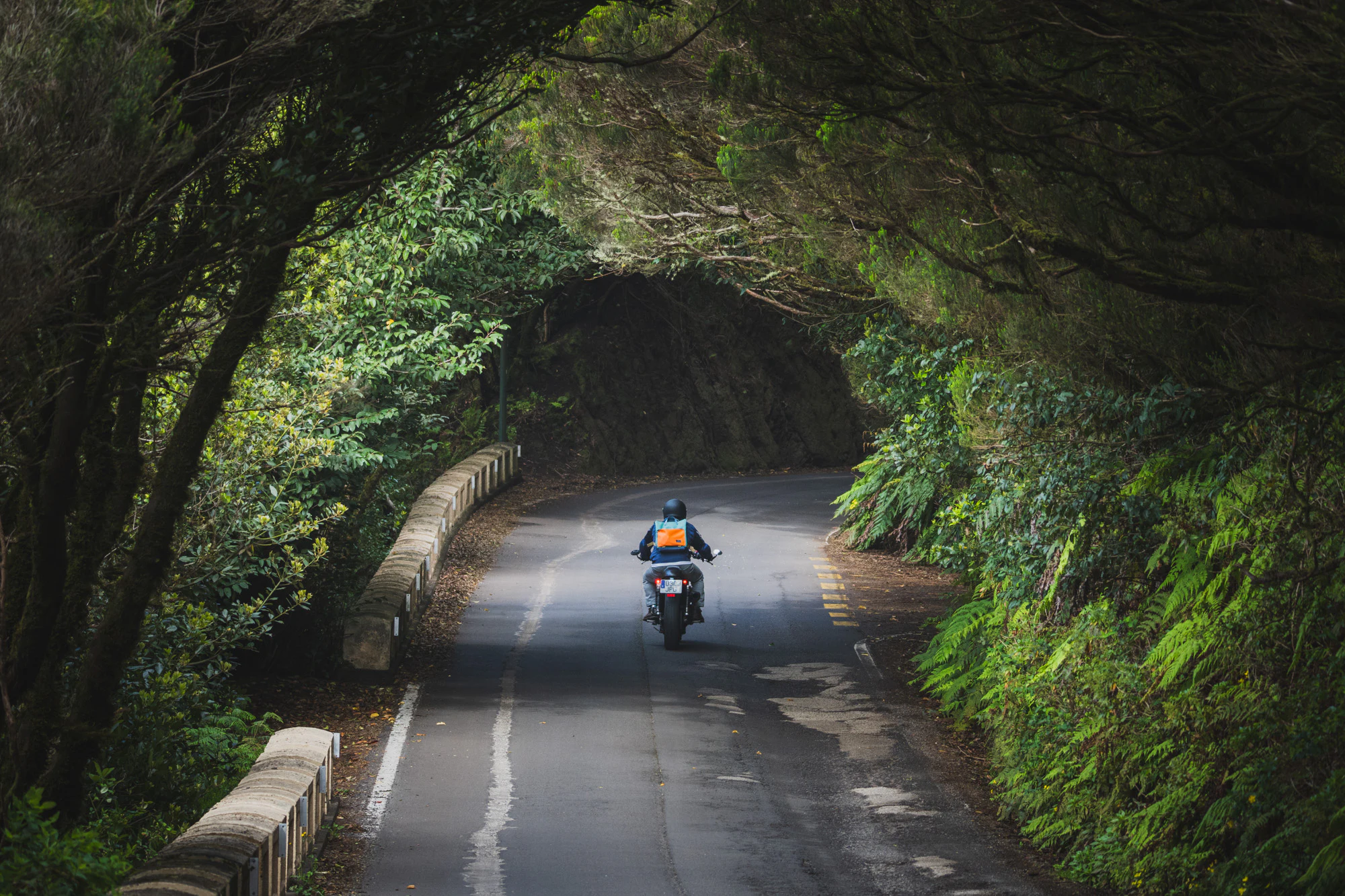 Tenerife 2024, photo 12