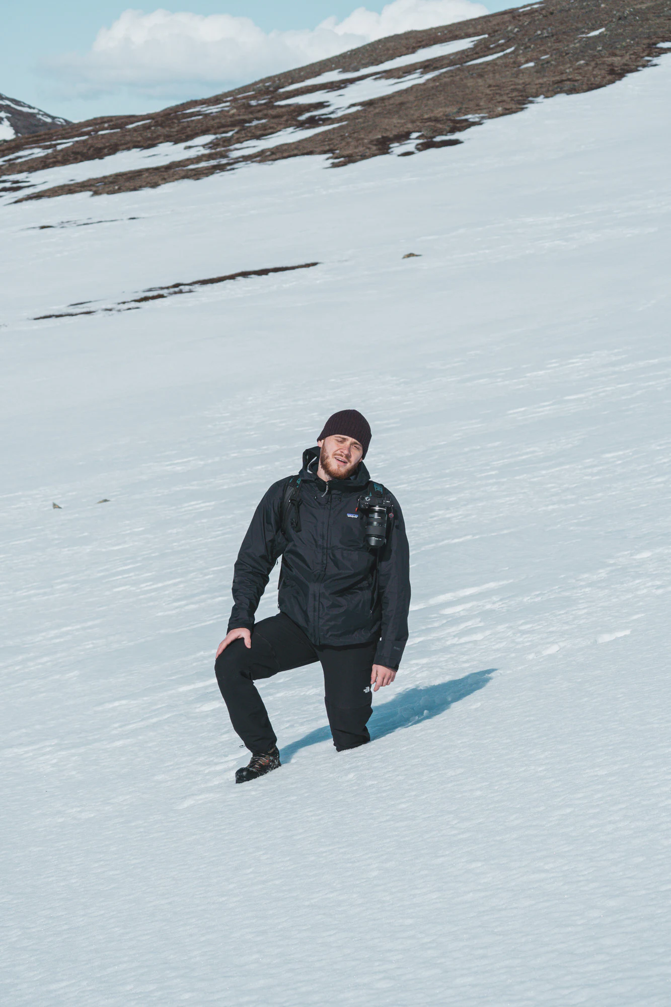 Dovrefjell 2025, photo 13