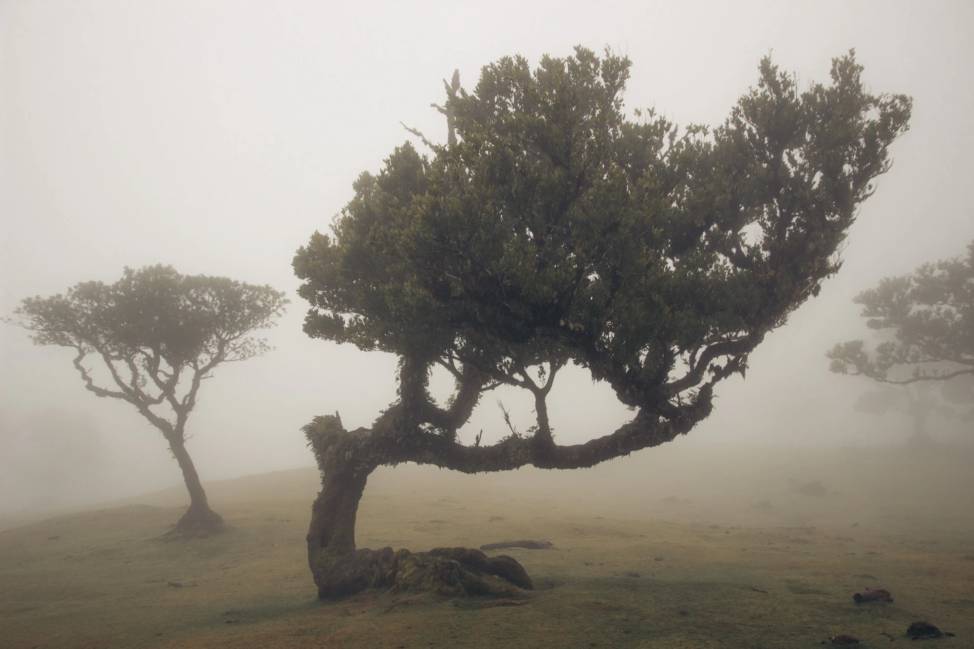 Madeira 2023, photo 14