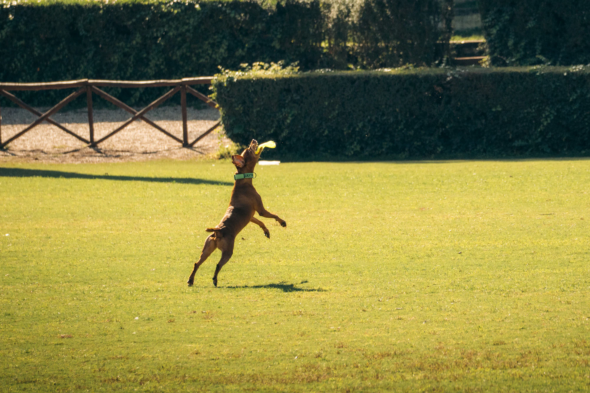 Rome 2024, photo 14