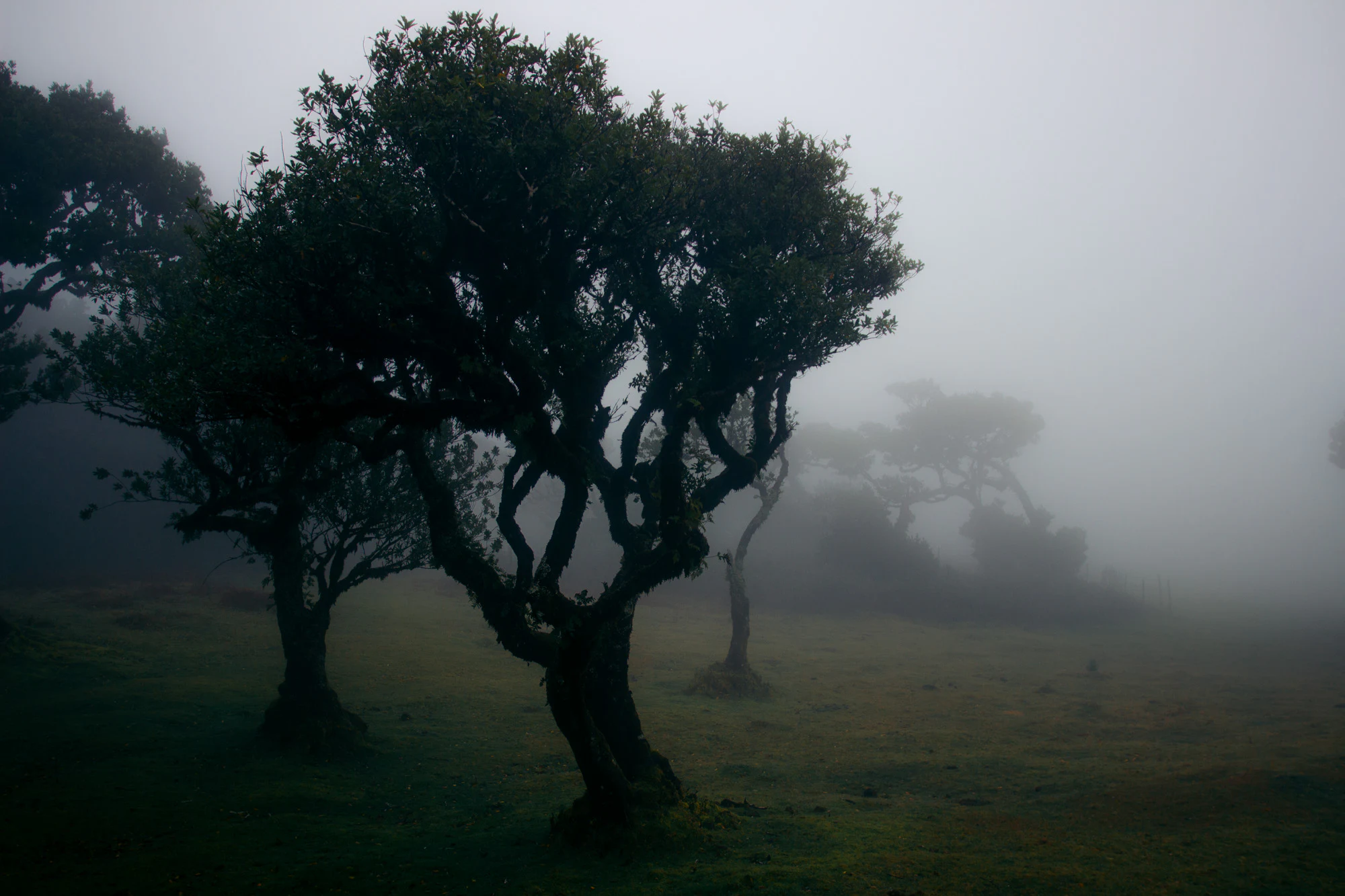 Madeira 2023, photo 15