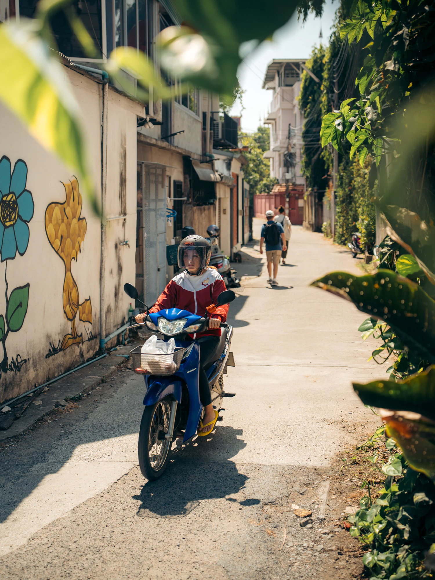 Thailand North 2026, photo 15