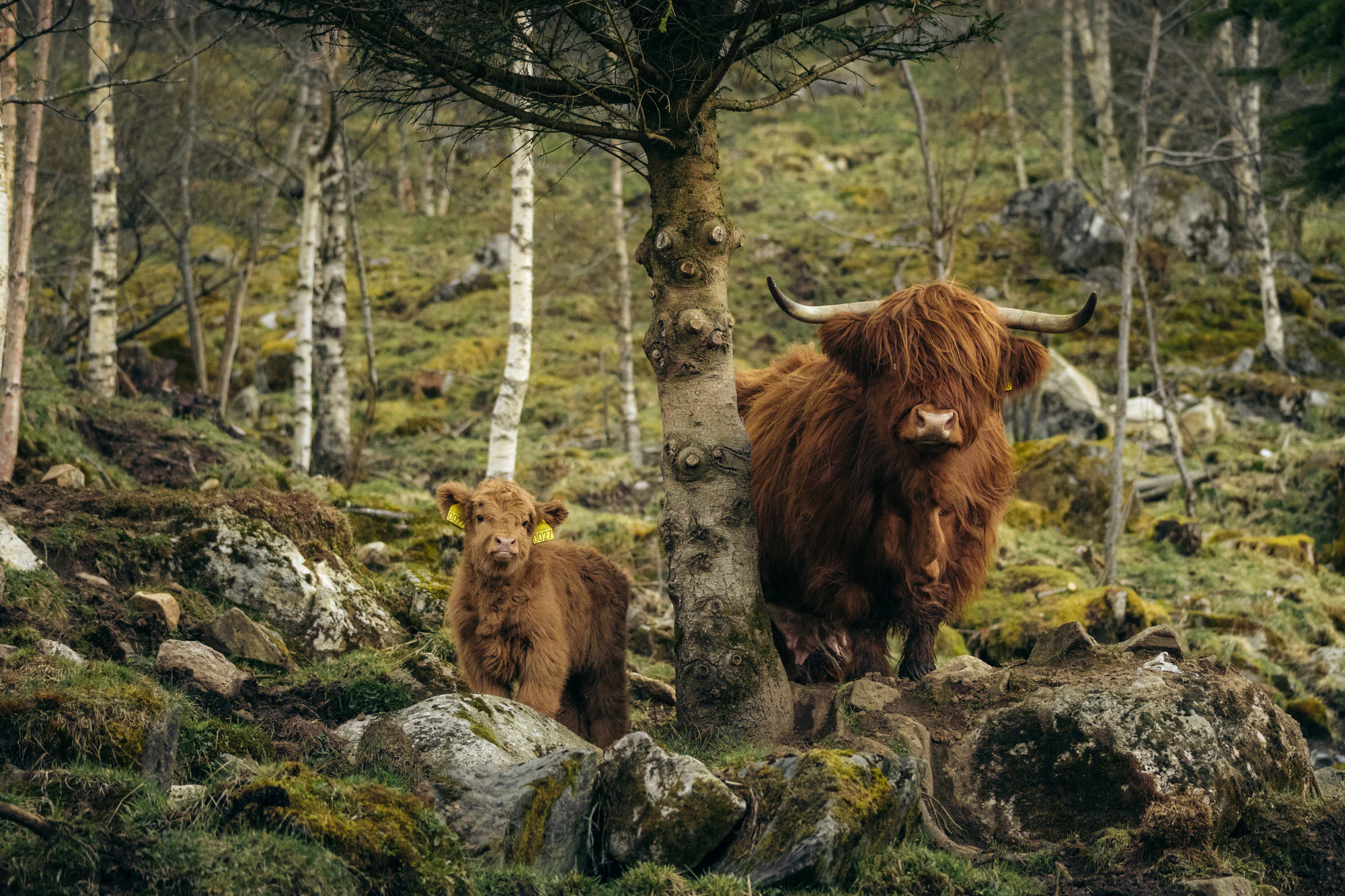 Norway 2025, photo 15