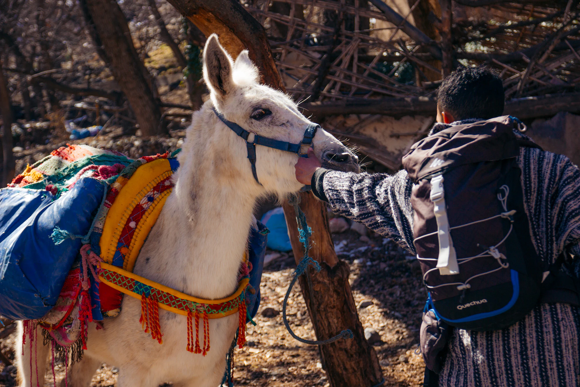 Morocco 2023, photo 16