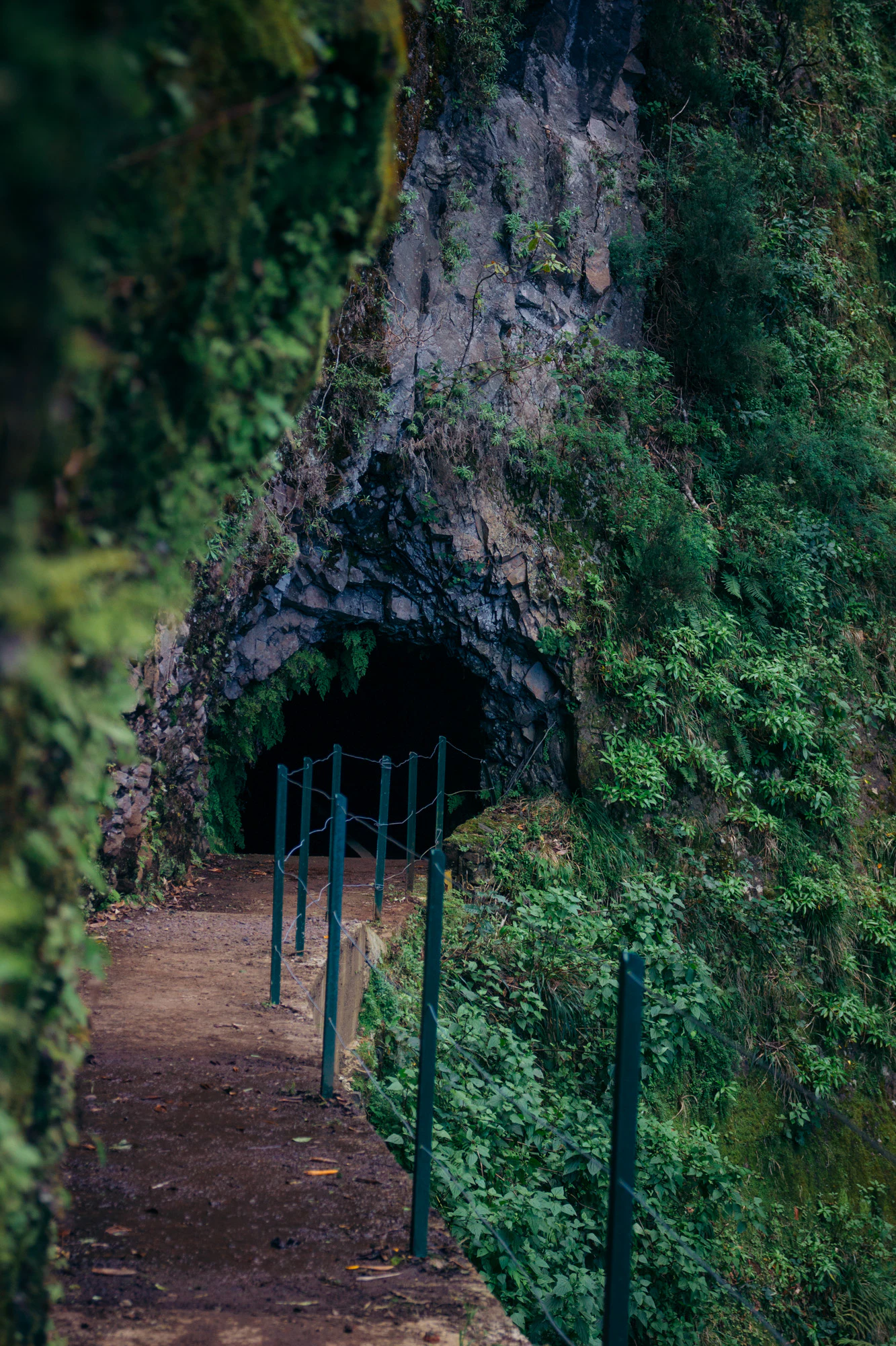 Madeira 2023, photo 17