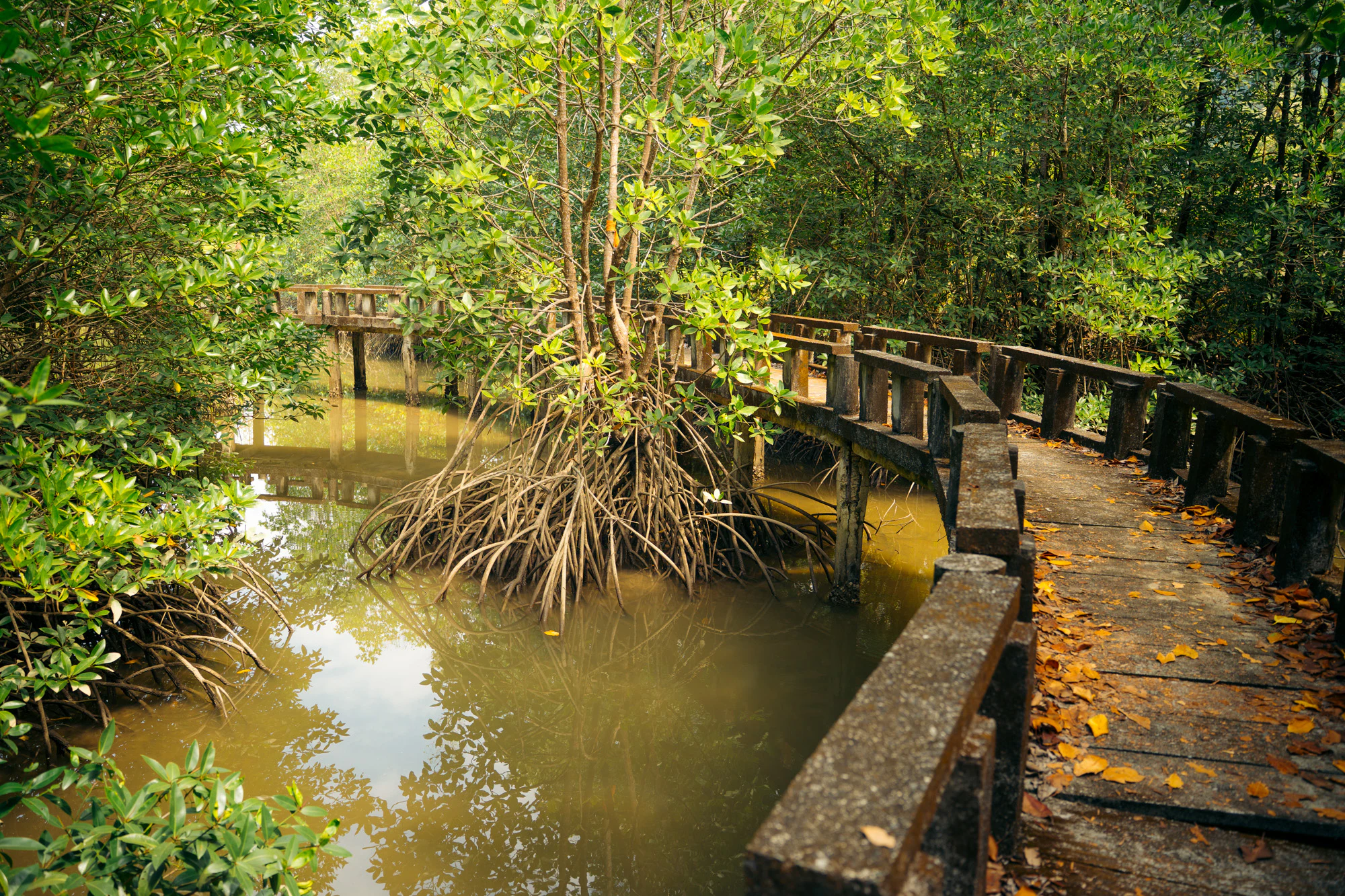 Thailand South 2026, photo 17