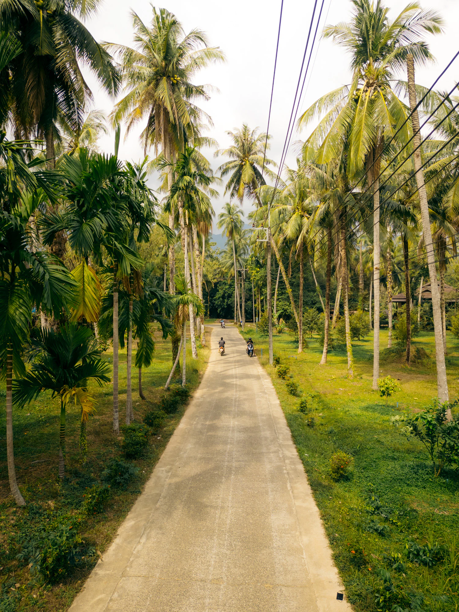 Thailand South 2026, photo 19