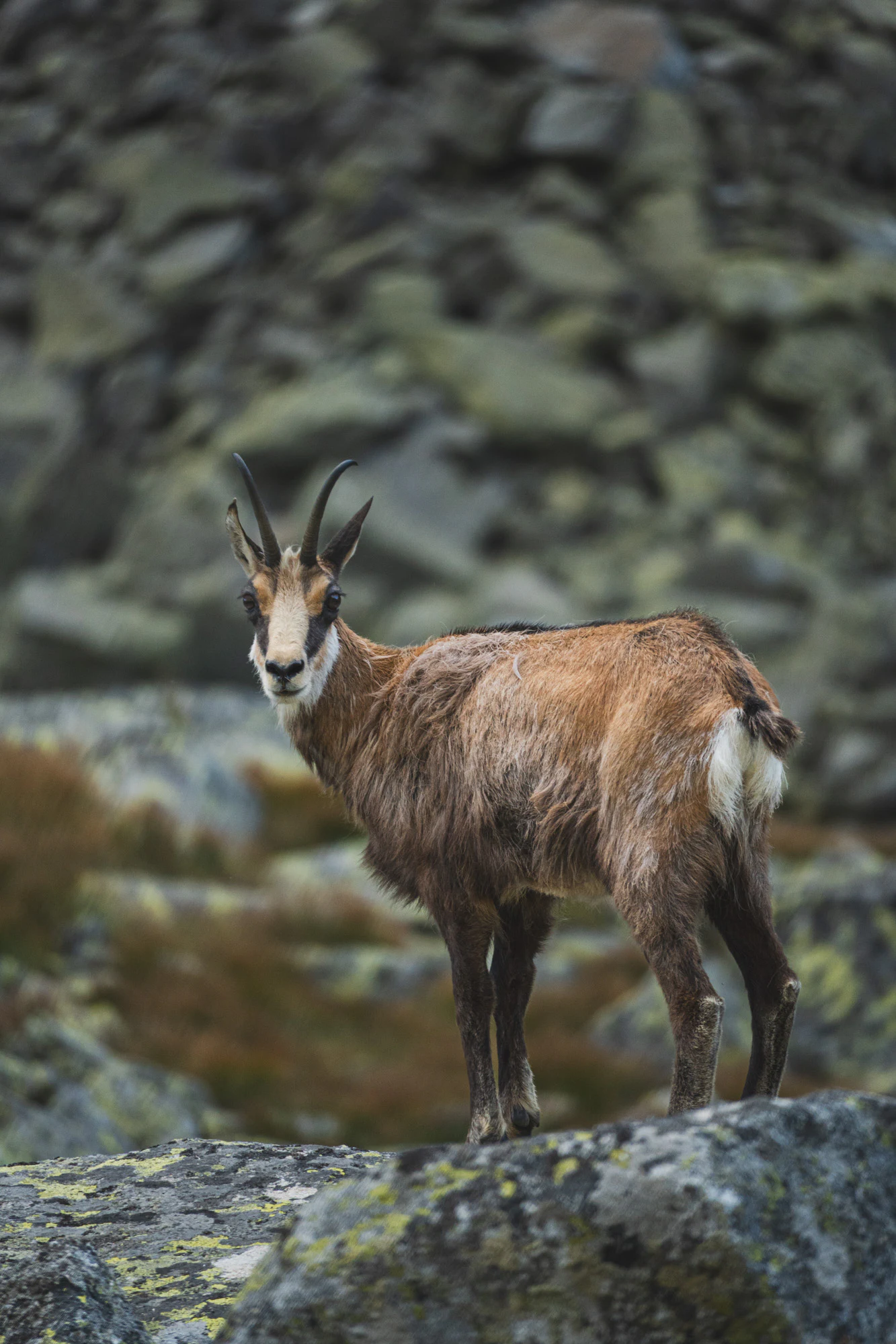 High Tatras 2024, photo 20