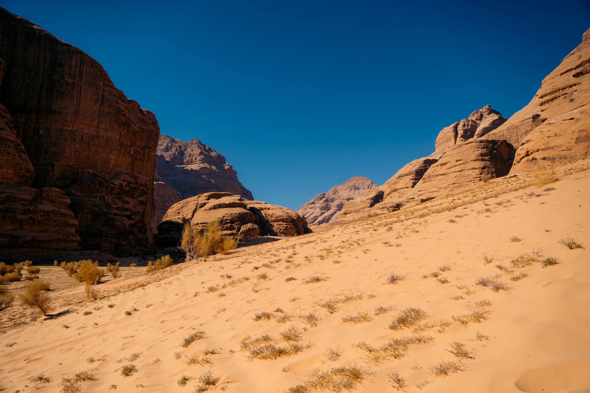 Jordan 2024, photo 20
