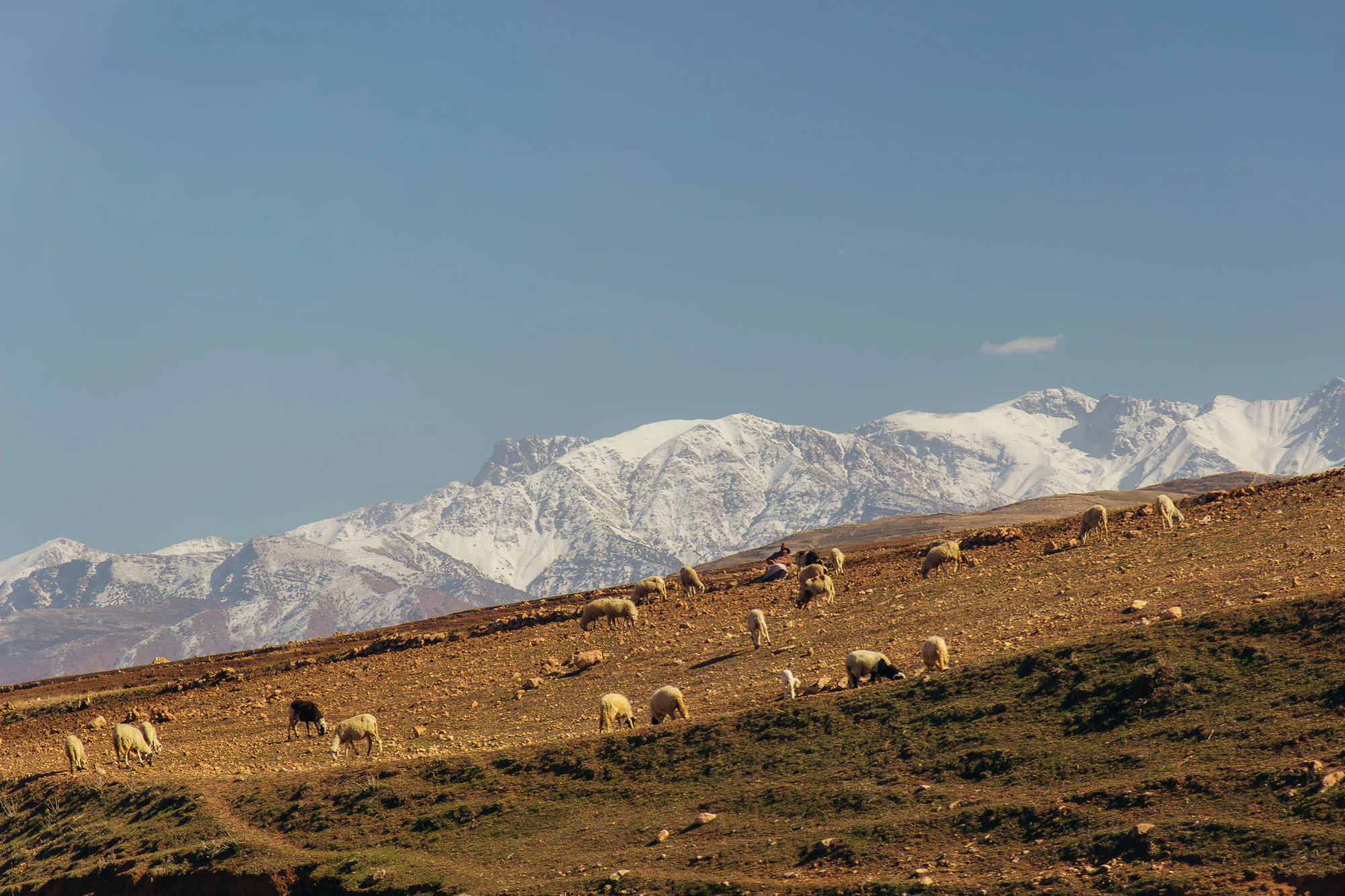 Morocco 2023, photo 23