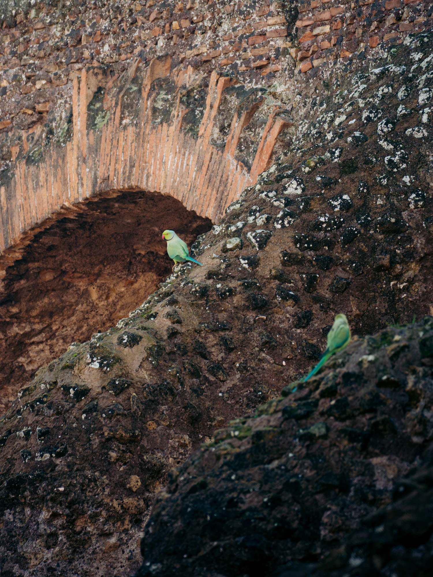 Rome 2024, photo 23