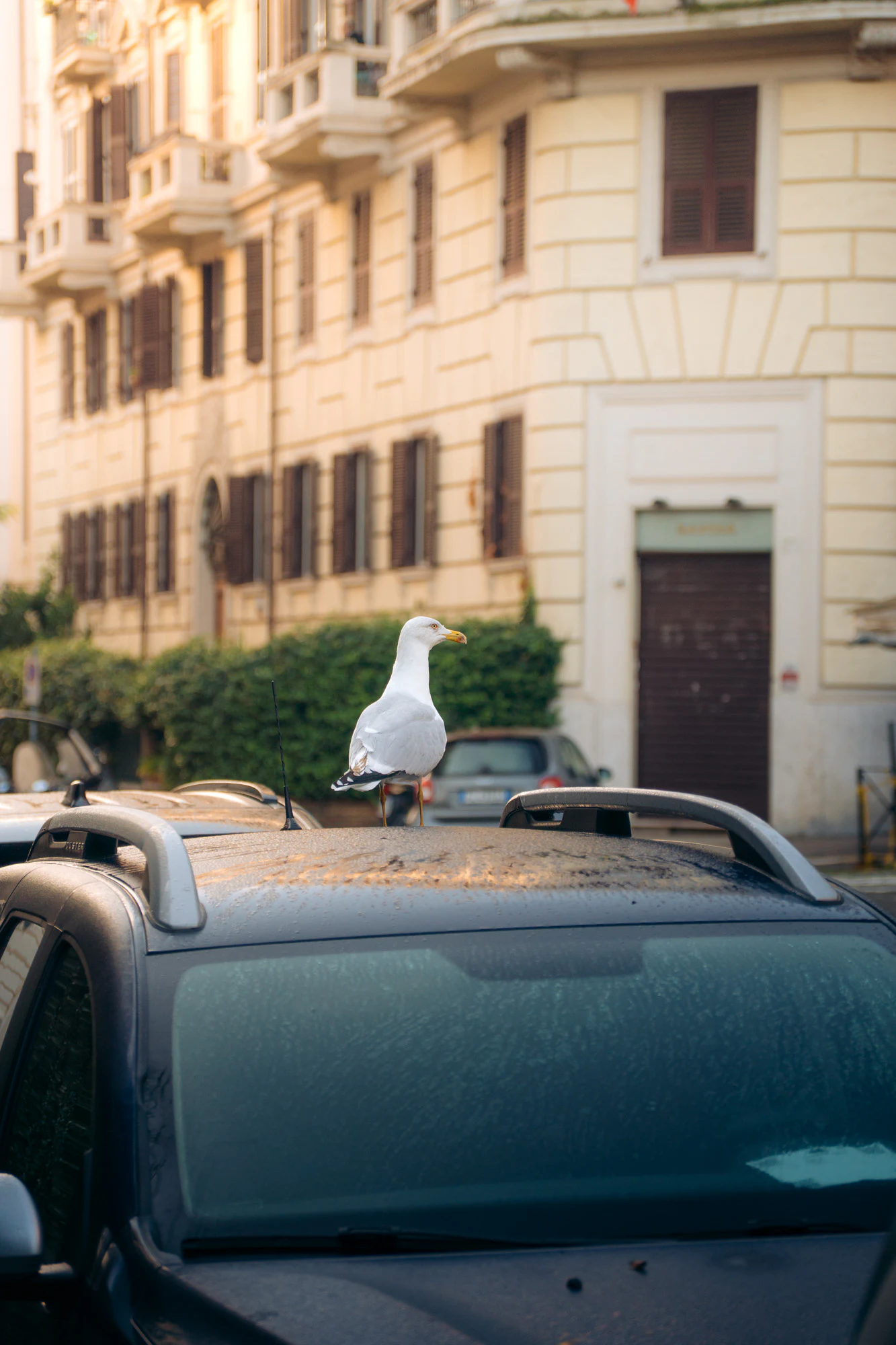 Rome 2024, photo 27