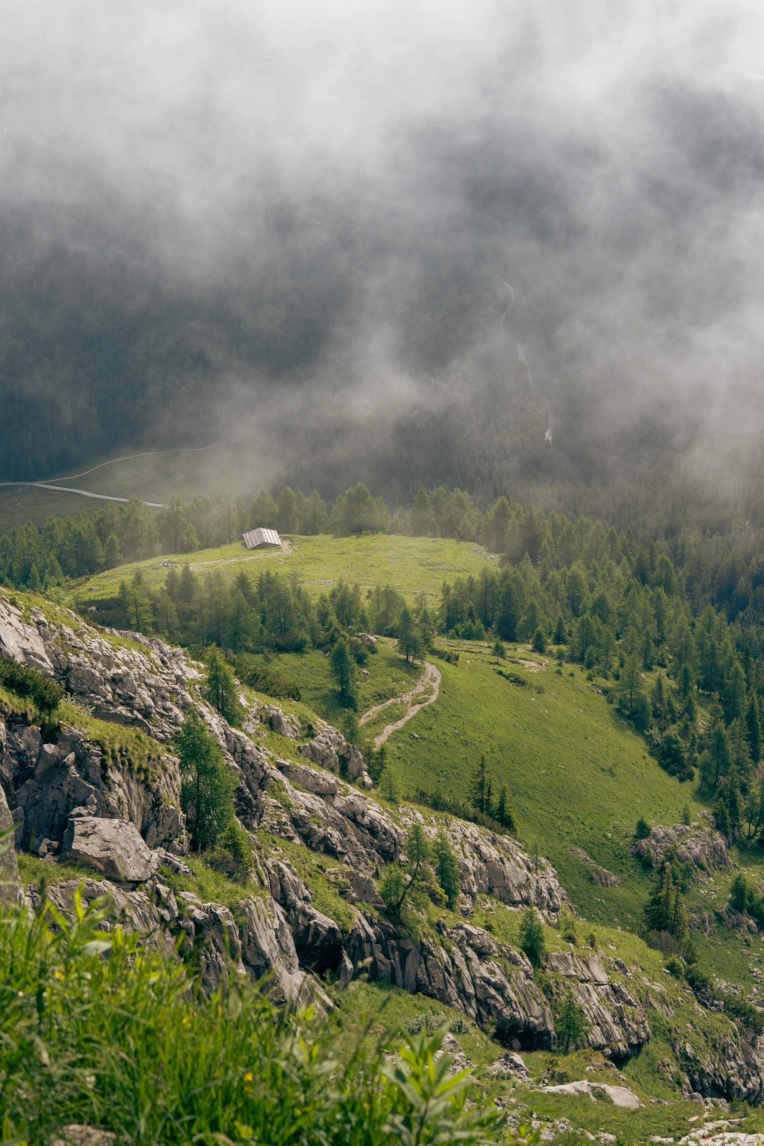 Berchtesgaden National Park 2023, photo 28