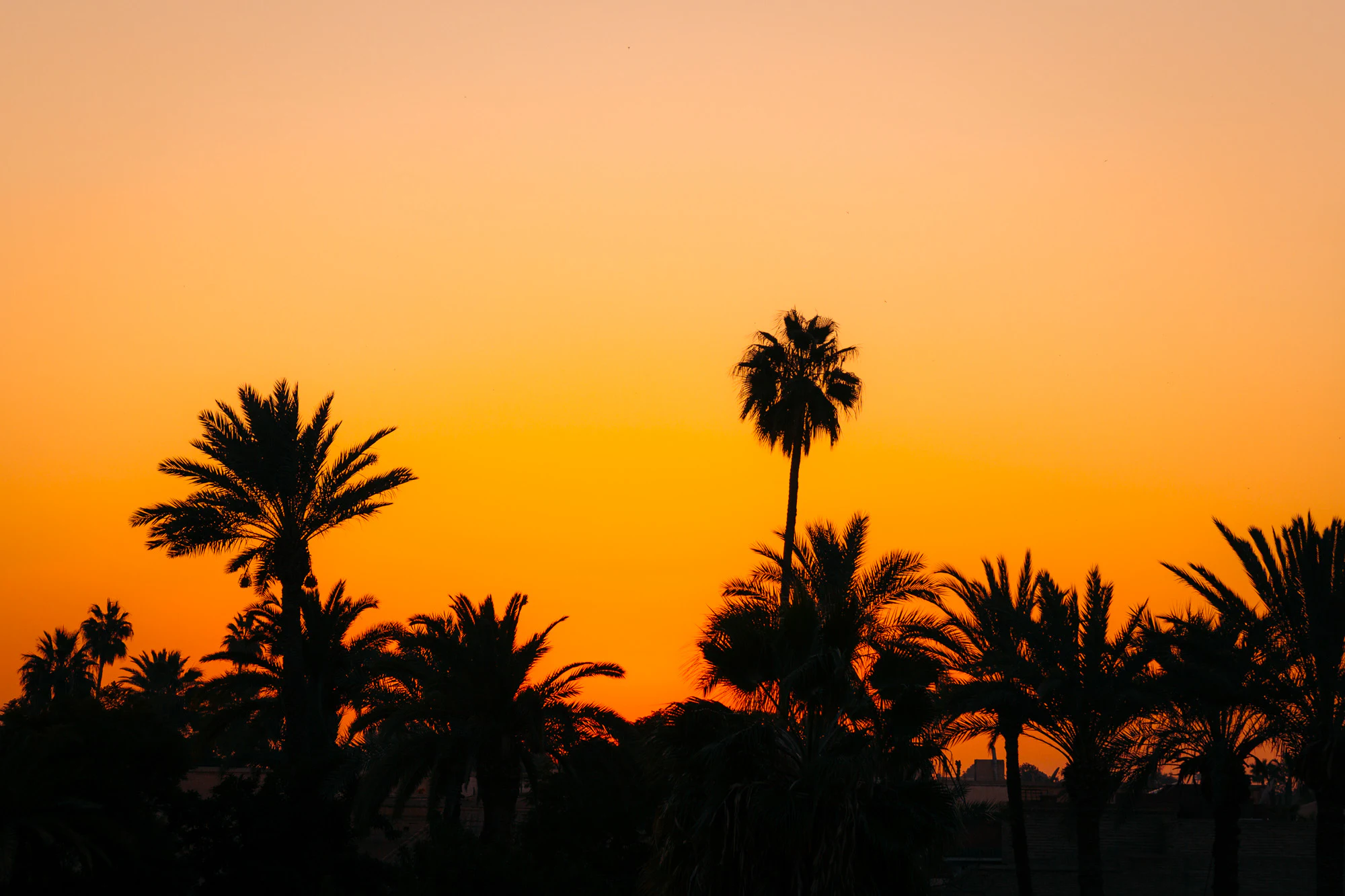 Morocco 2023, photo 28