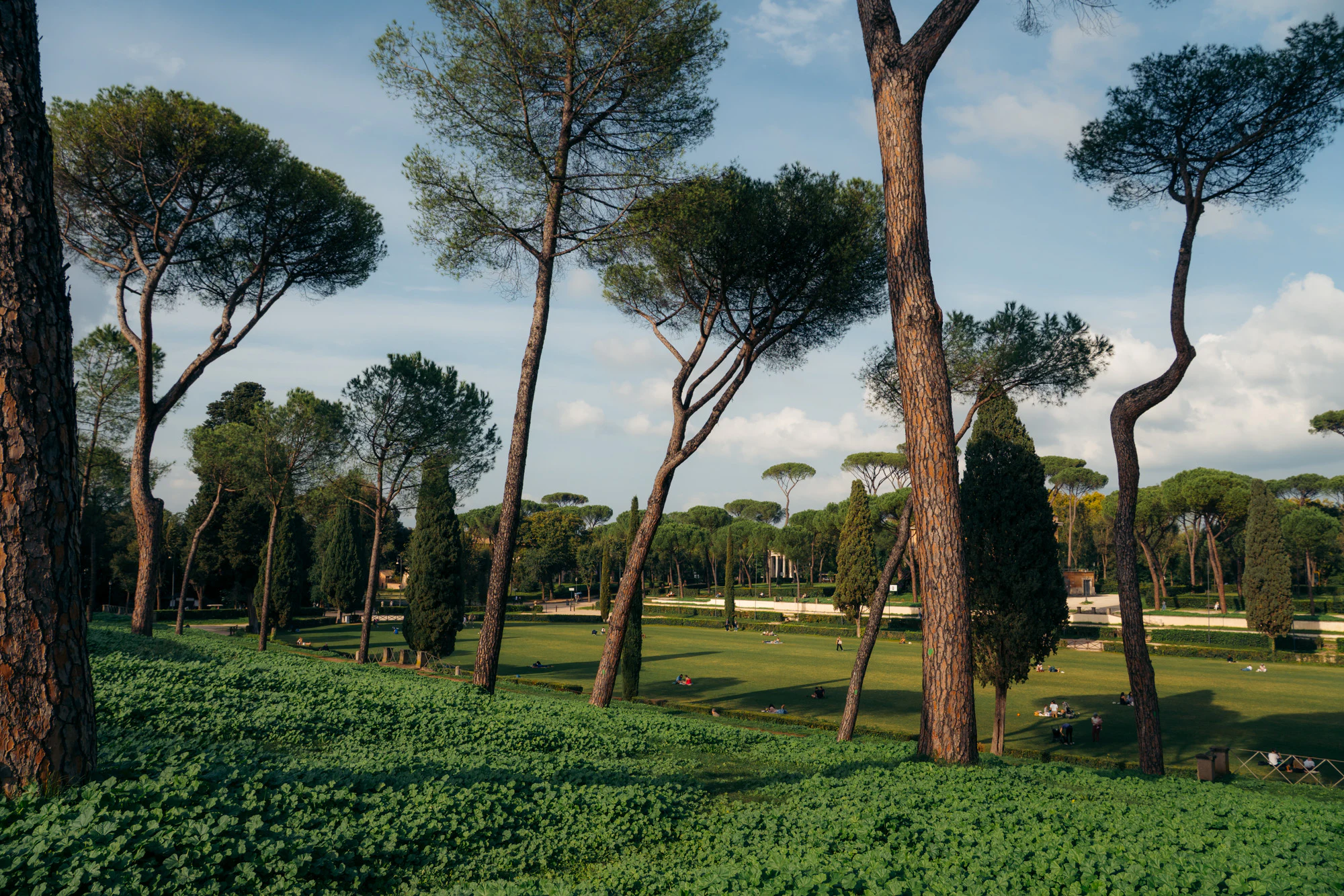 Rome 2024, photo 32
