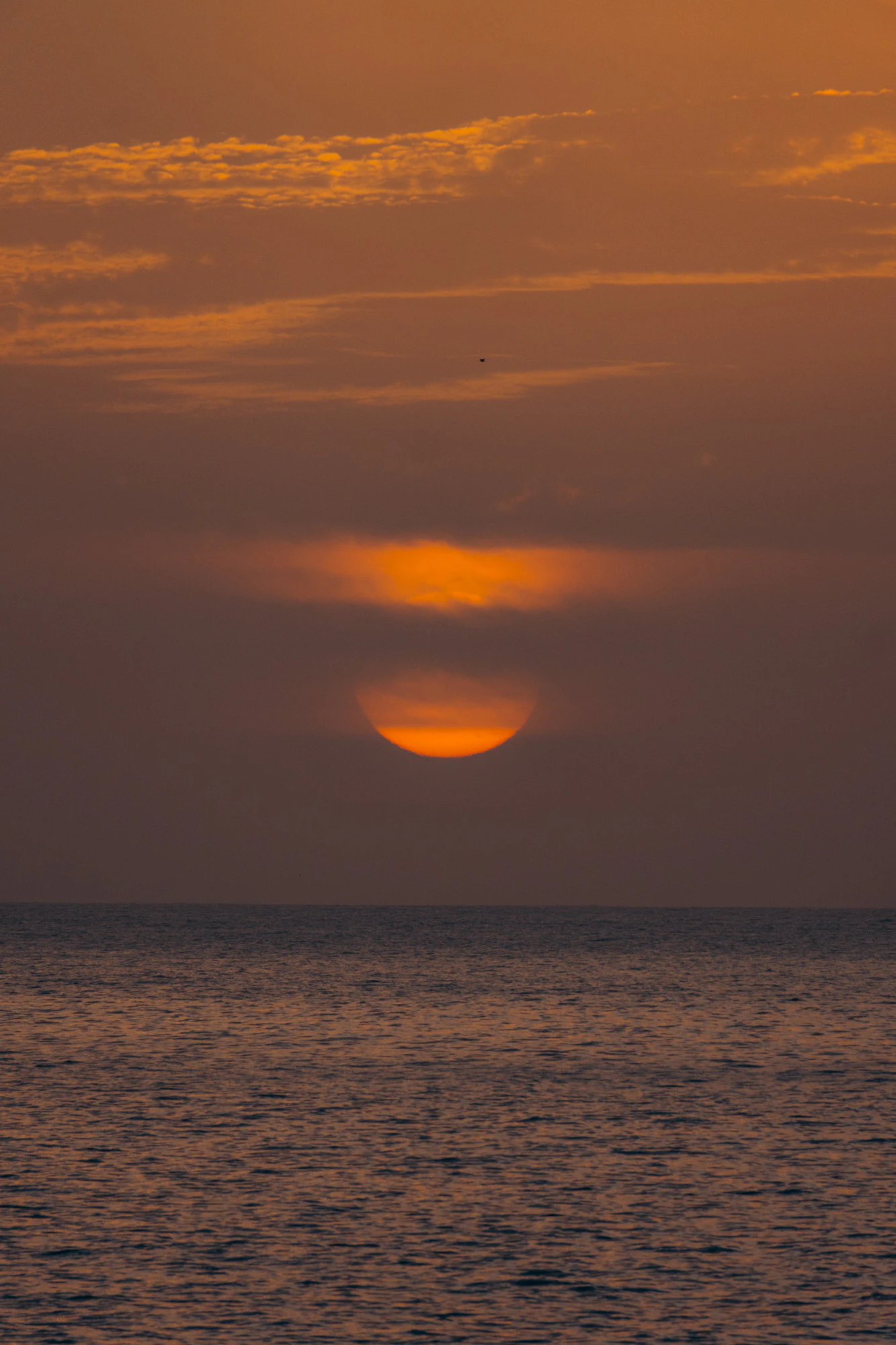 Tenerife 2024, photo 33