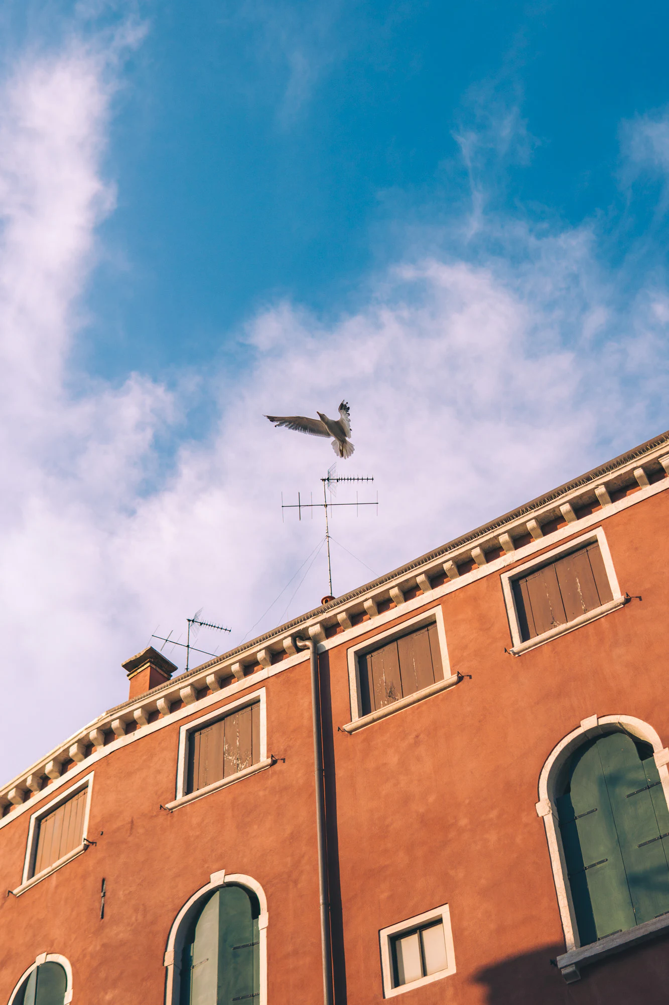 Italian Alps 2023, photo 37