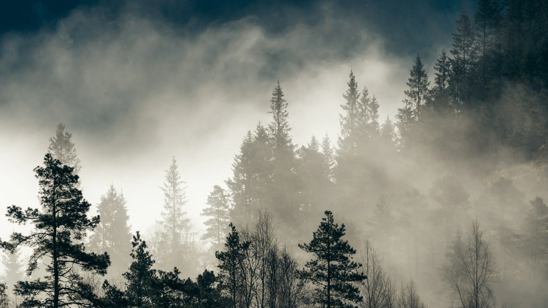 Norway 2025