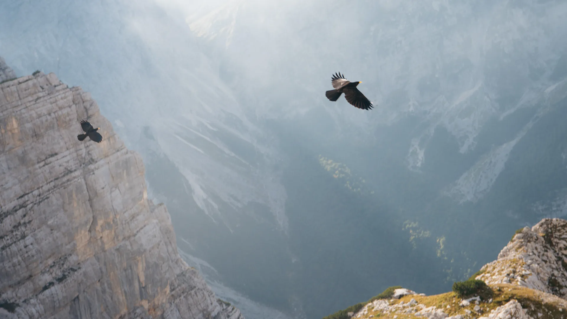 Triglav 2023