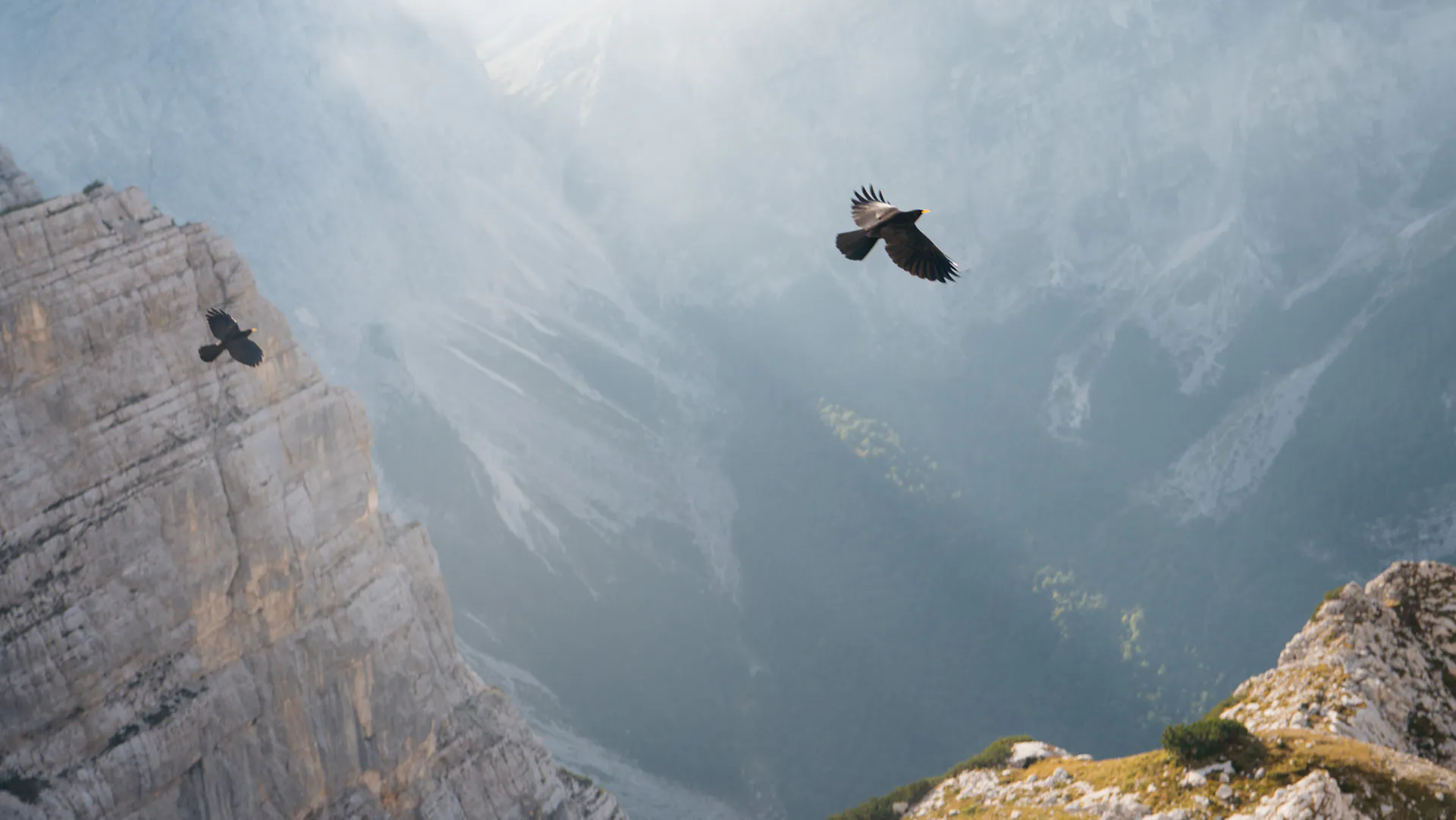 Triglav 2023